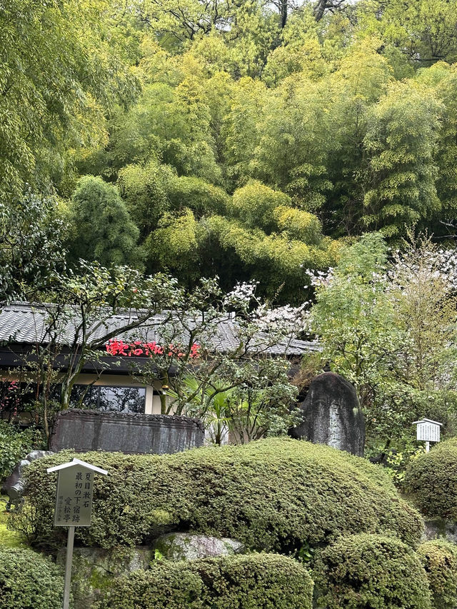 【📍愛媛】国重要文化財 萬翠荘