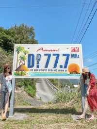 【奄美大島】思わず写真を撮りたくなる可愛い奄美看板