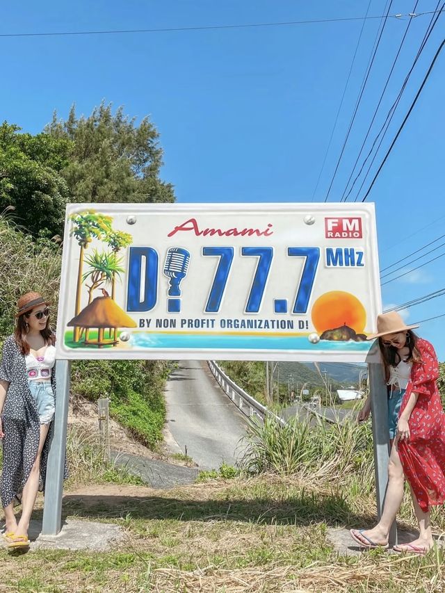 【奄美大島】思わず写真を撮りたくなる可愛い奄美看板
