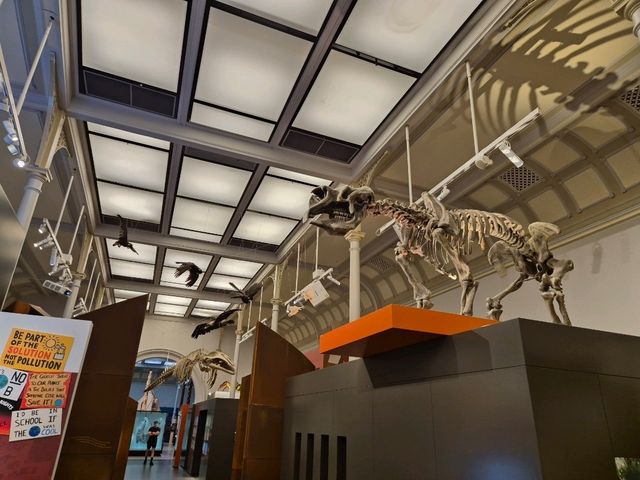 영화 '박물관이 살아있다'가 생각나는 Australian Museum 영화 '박물관이 살아있다'가 생각나는 Australian Museum