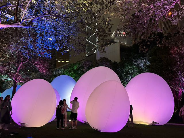 香港好去處 | 金鐘添馬公園 | teamLab: 光漣