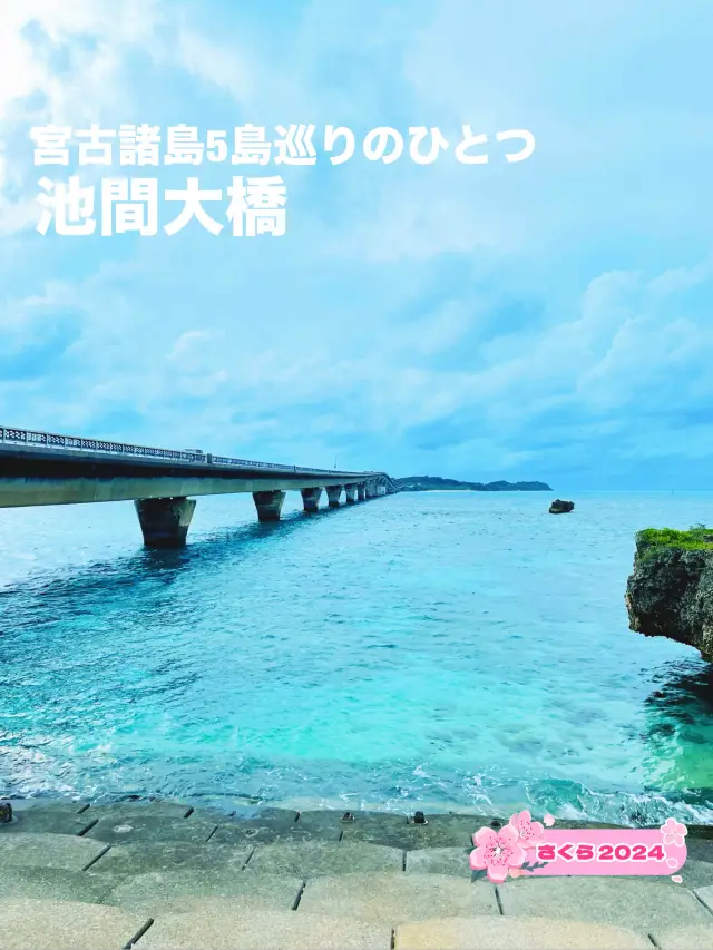 【宮古島】色鮮やかな海が美しい池間大橋！