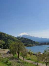 🌸Kawaguchiko🌸Japan🇯🇵