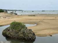 沖縄・石垣島。木々をくぐり抜けると現れる宮良湾の海岸『大浜海岸』