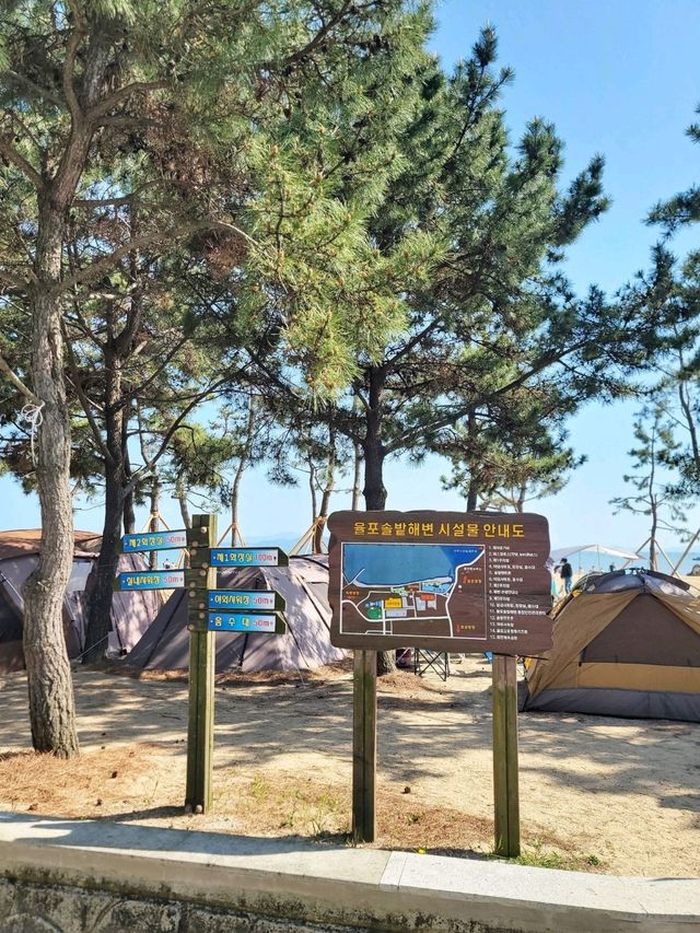 손하트 포토존과 바다보며 힐링하는 보성여행🩵