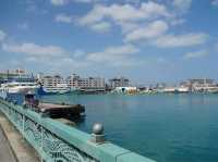 【沖繩】泊港漁市場：新鮮活魚直送，春天遊日韓必去