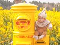 フォトスポットたくさん！伊良湖菜の花ガーデン