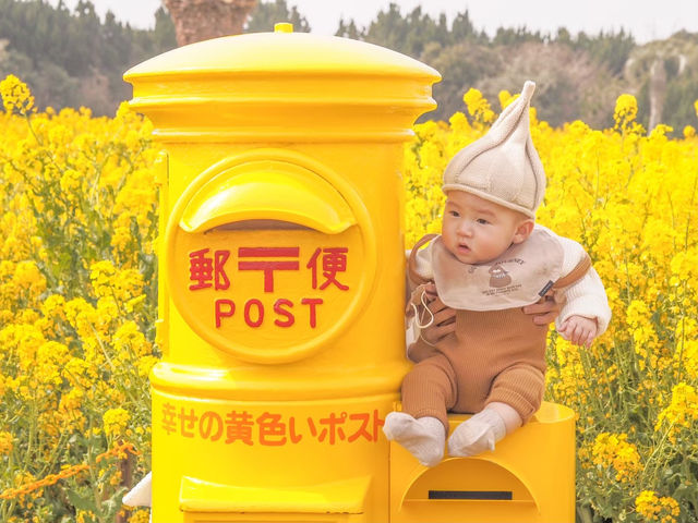 フォトスポットたくさん！伊良湖菜の花ガーデン
