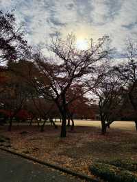 Shinjuku Gyoen National Garden