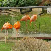 吉隆坡飛禽公園：熱帶鳥語花香，適合感受大自然生命力的理想場所