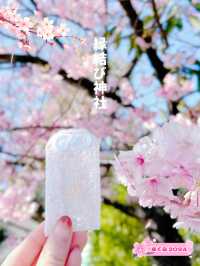 【千葉】絶対に行ってほしい!!桜だらけのかわいすぎる神社🌸今話題のレースお守りも🤍