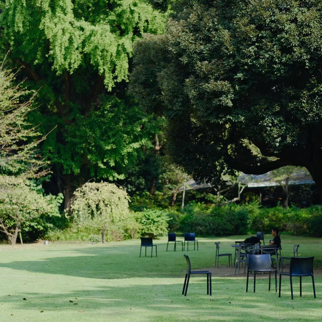 下田公園：春天好去處