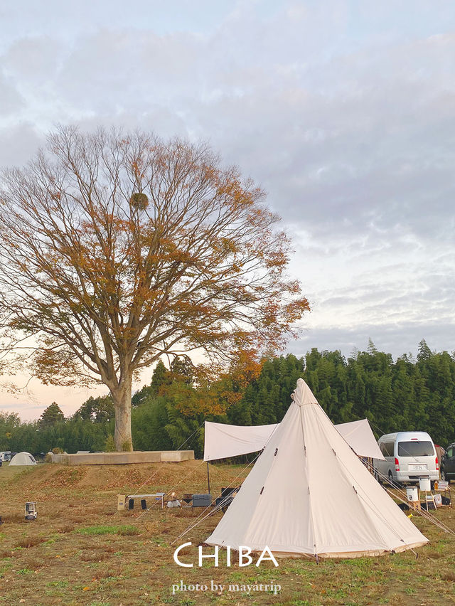 【千葉】星空の下でキャンプ🏕ツリーハウスもあるよ