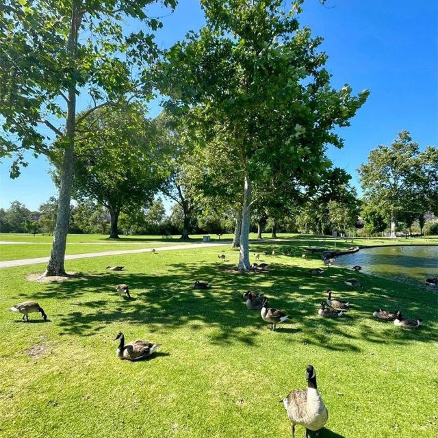 仙遊島公園：湖畔綠地