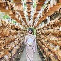 【埼玉県｜川越】今年のスケジュール決定！川越氷川神社 縁むすび風鈴🎐