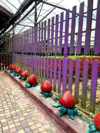 Gorgeous Genting Strawberry Farm