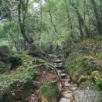 「額田山，感受神秘莊嚴」