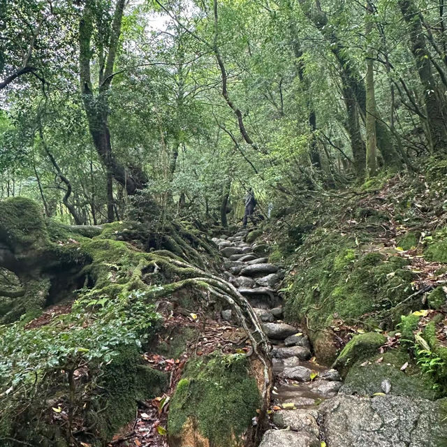 「額田山，感受神秘莊嚴」