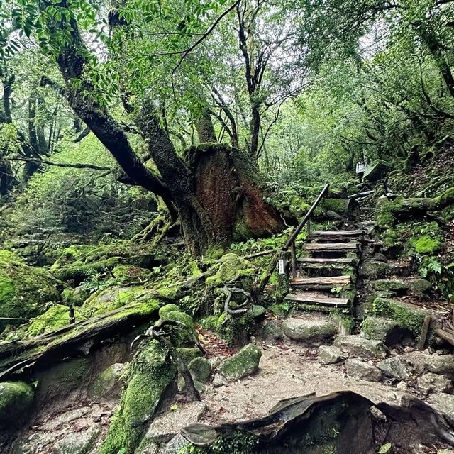 「額田山，感受神秘莊嚴」