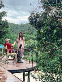 Stay Wild & Café ที่พักและคาเฟ่ริมลำธารสุดชิล🌿