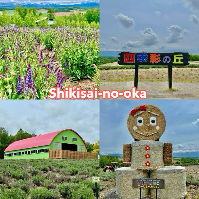 Panoramic Flower Gardens Shikisai-no-oka