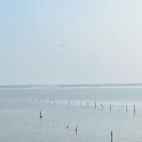 須磨海岸：絕美海景