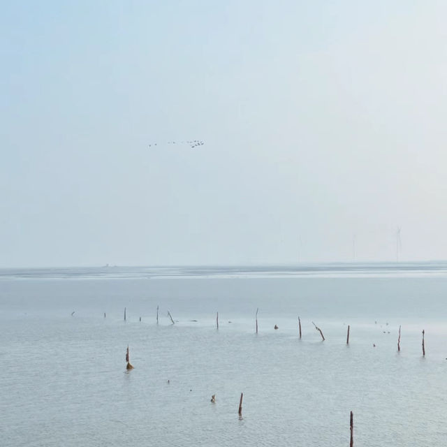 須磨海岸：絕美海景