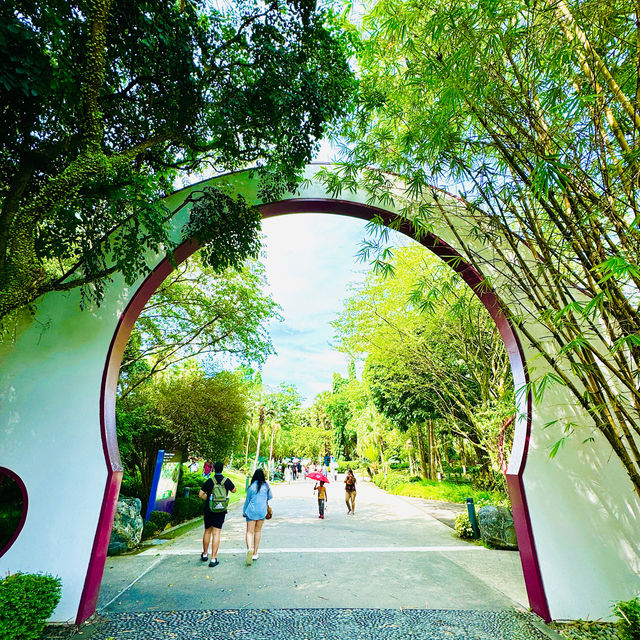 🇸🇬 Heritage Chinese Garden