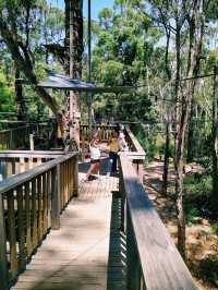 Treetops Adventure Yeodene Park