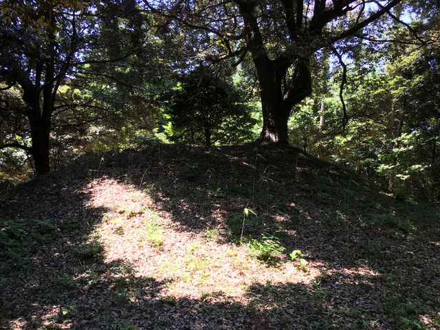 探訪隠岐島玉若酢命神社：歷史與靈性的融合