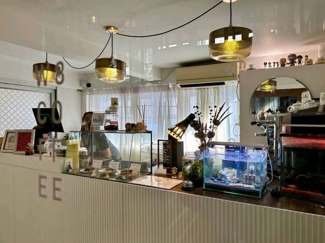 W8 x viangpha cafe คาเฟ่สวย ริมถนนช้างม่อย