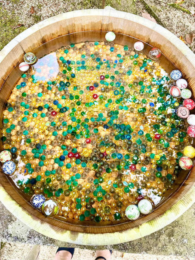 〜京都府〜混まない！初夏の夏詣におすすめ神社⛩️