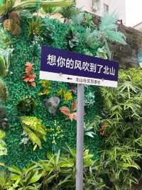 獨遊珠海一天牆烈建議來這～文青大愛