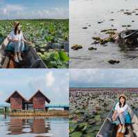 13 จุด กินเที่ยว หาดใหญ่-พัทลุง 
