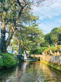 【滋賀】夏が見頃の水中の花「梅花藻」