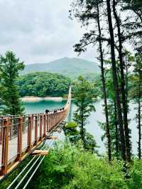 【韓国】湖に架かる吊り橋〚Majang Reservoir(マジャン湖)〛での素敵な一日✨🌤
