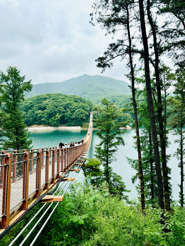 【韓国】湖に架かる吊り橋〚Majang Reservoir(マジャン湖)〛での素敵な一日✨🌤