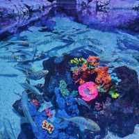 🌊 Dive into the Depths of Aquaria KLCC! 🌊