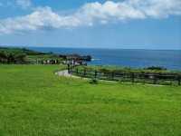 Okinawa secret heaven