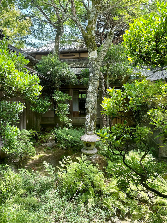 【箱根・小涌谷】　大正レトロなお部屋でいただく蕎麦ランチ