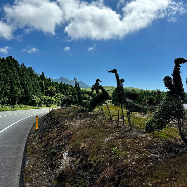 岡岳公園：大自然淨土，終生難忘的美好回憶