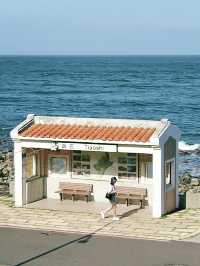 Enjoy this summer by the ocean at Tiaoshi Bus Stop🌊