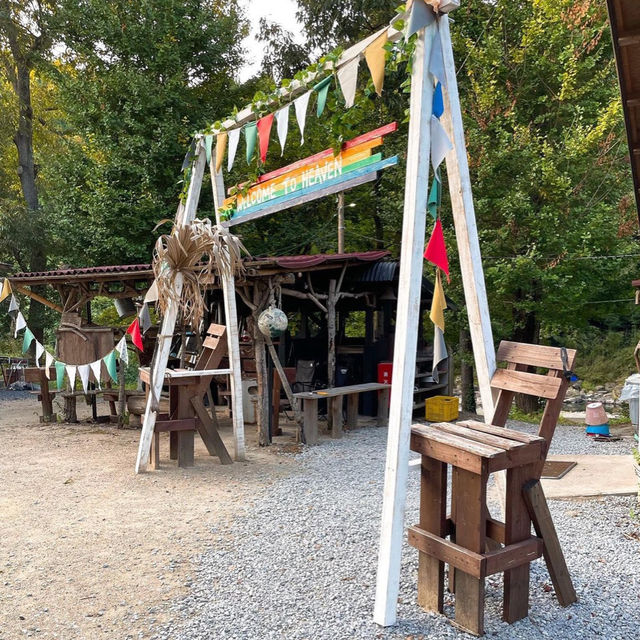 【大分】この景色、この空気、この牛！まさに一期一会✨