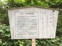 踏訪歷史遺跡：八王子城跡的幽靜之美