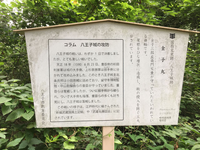 踏訪歷史遺跡：八王子城跡的幽靜之美