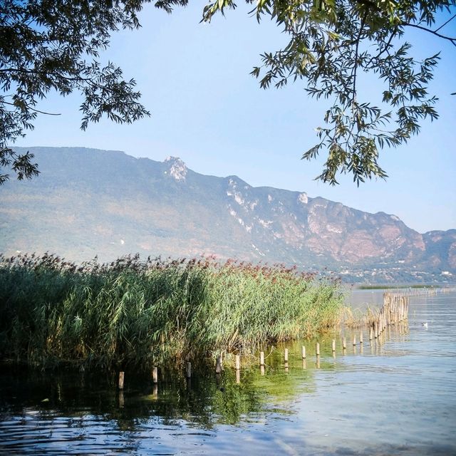 The Belle Epoque and the lake