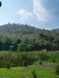 น้ำผุร้อน โป่งกระทิง กางเต็นท์  ราชบุรี 