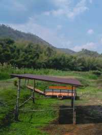 น้ำผุร้อน โป่งกระทิง กางเต็นท์  ราชบุรี 