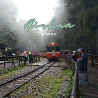 Alishan...อาหลีซาน ธรรมชาติไต้หวัน