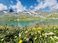 🇨🇭ベルニナ急行沿いハイキング